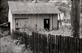 Other Buildings 367-14 Shed